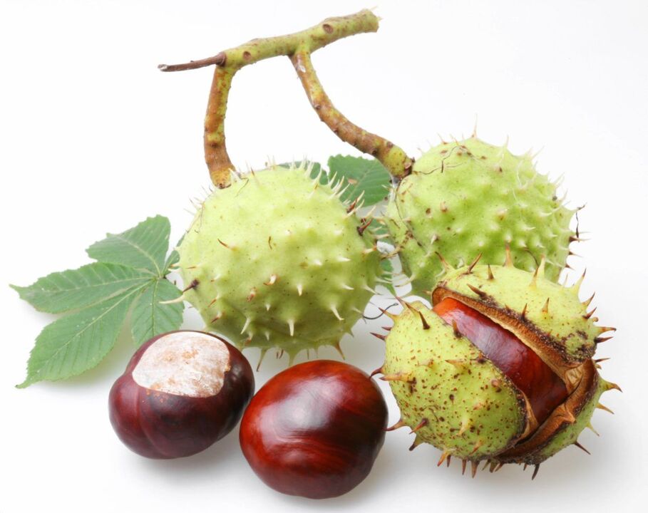 Prostatit tedavisi için kestane kabuğu